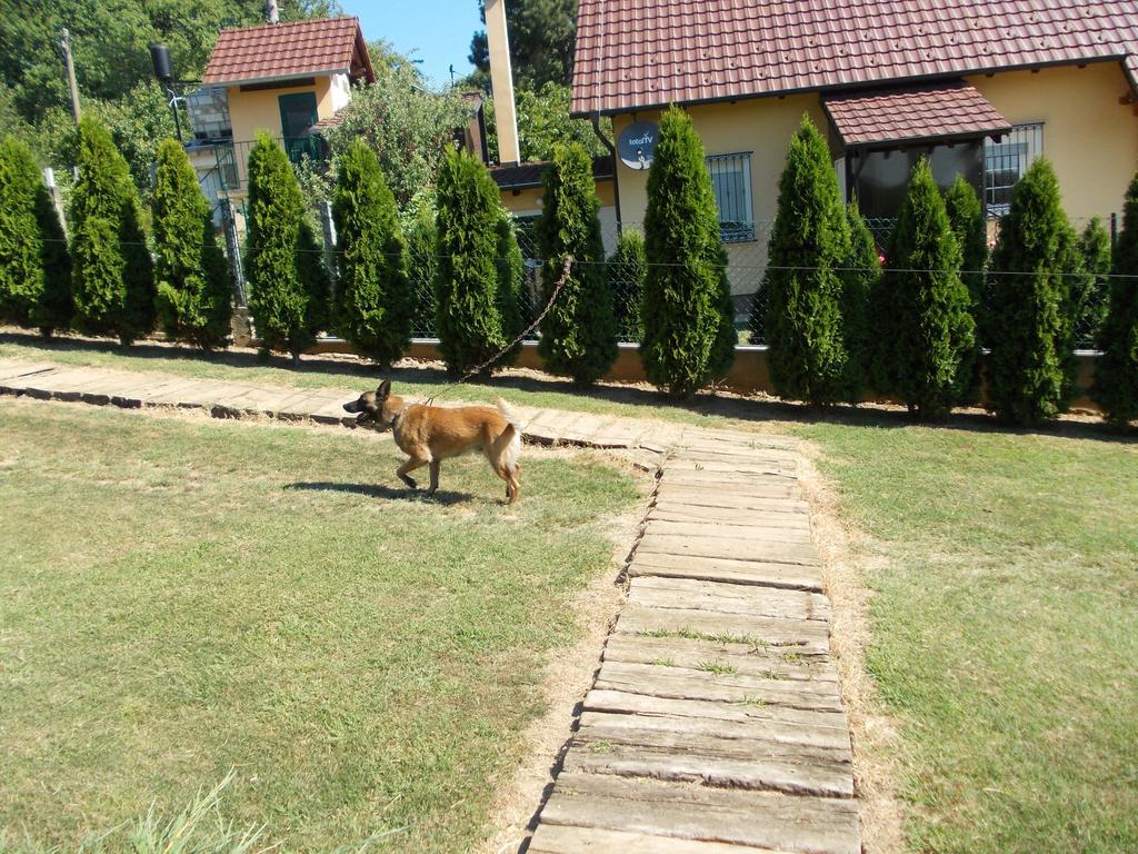 Kuca Za Odmor "Karalic" Bed and Breakfast Ležimir Esterno foto